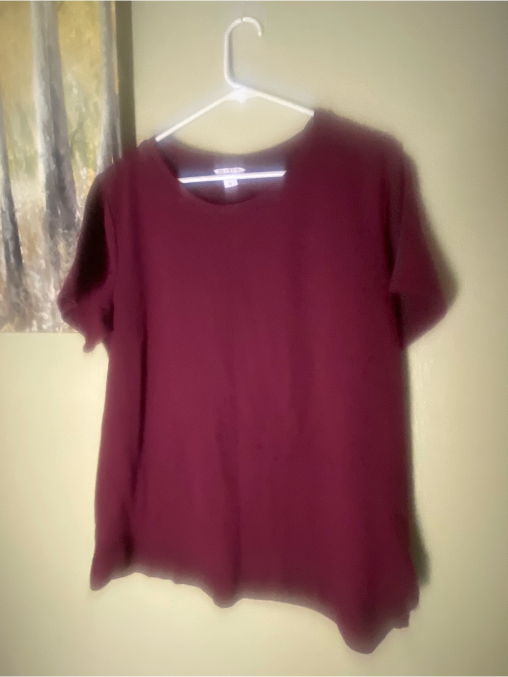 Danskin Short-Sleeve Scoop Neck Top in Burgundy